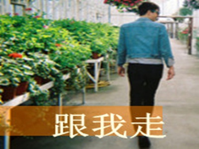 把流萤焯出白水怎么回事,夏日奇观：萤火虫焯水变白水之谜-2